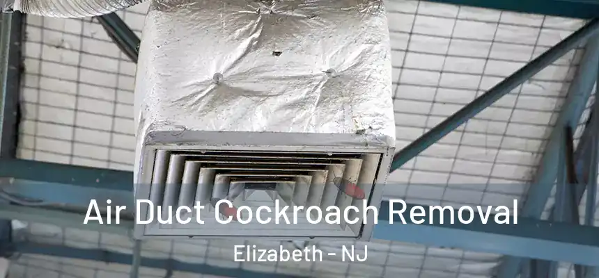 Air Duct Cockroach Removal Elizabeth - NJ
