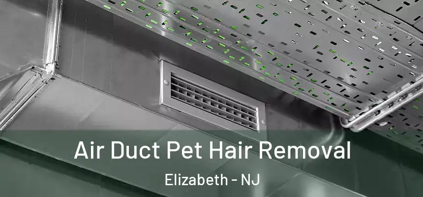  Air Duct Pet Hair Removal Elizabeth - NJ