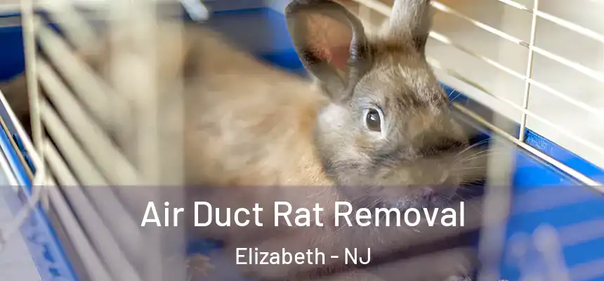  Air Duct Rat Removal Elizabeth - NJ