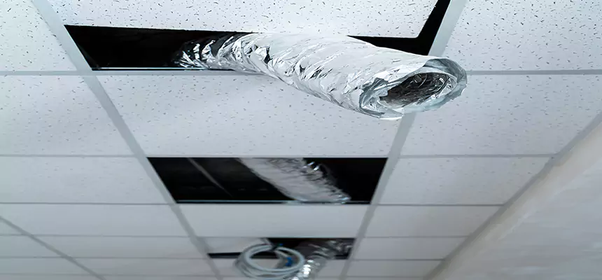 Our Air Duct Pet Hair Removal Services in Elizabeth, NJ