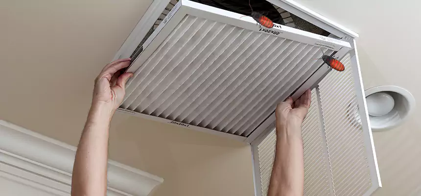 Our Insect Removal from Air Ducts Services in Elizabeth, NJ