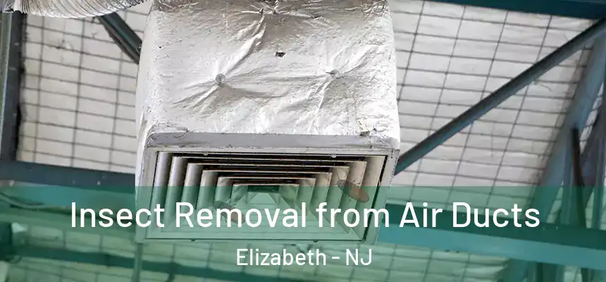 Insect Removal from Air Ducts Elizabeth - NJ