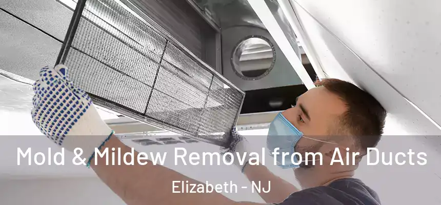  Mold & Mildew Removal from Air Ducts Elizabeth - NJ