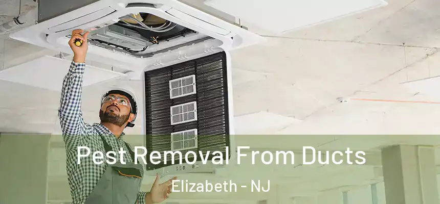  Pest Removal From Ducts Elizabeth - NJ