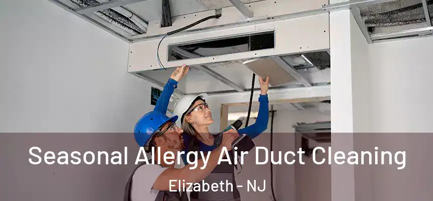  Seasonal Allergy Air Duct Cleaning Elizabeth - NJ