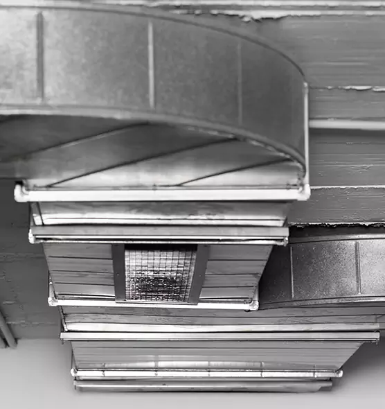 Professional Air Duct Pest Removal in Elizabeth, NJ