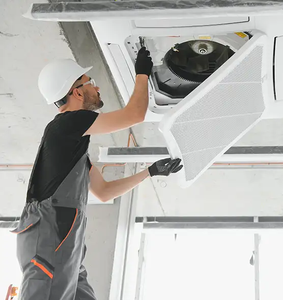 About Air Duct Rodent Removal in Elizabeth, NJ