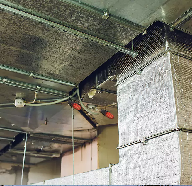 Why Homeowners & Businesses Trust Us in Elizabeth, NJ?