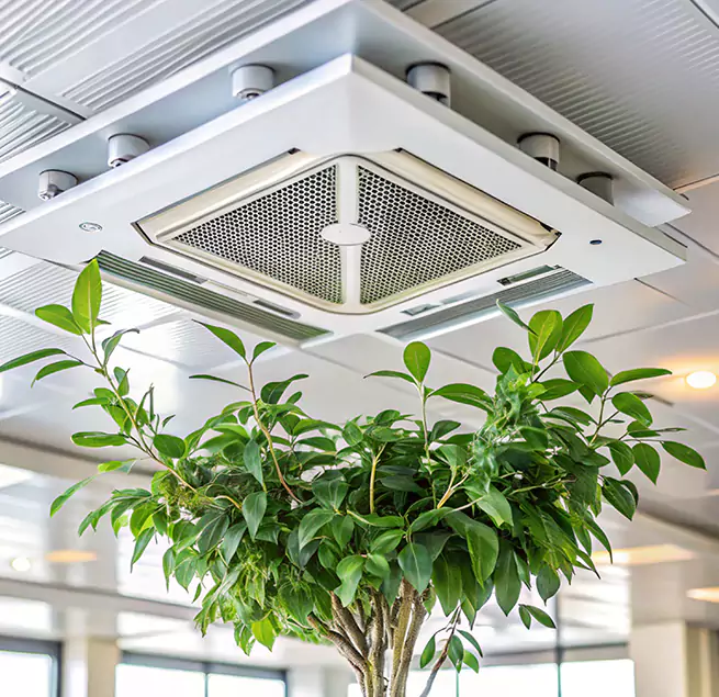 Why Homeowners & Businesses Trust Us in Elizabeth, NJ?