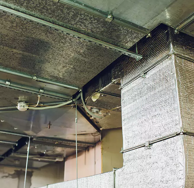 Why Homeowners & Businesses Trust Us in Elizabeth, NJ?